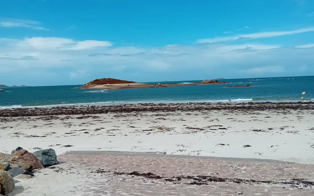 Une journée au camping